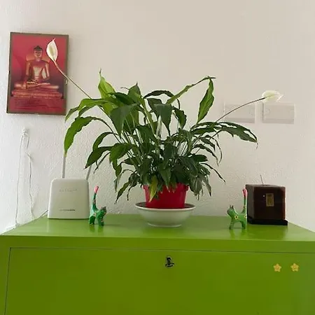 Casa Margherita Immersa Nel - Centro - Appartamento Cagliari