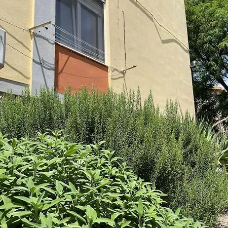 Appartamento Casa Margherita Immersa Nel - Centro - *