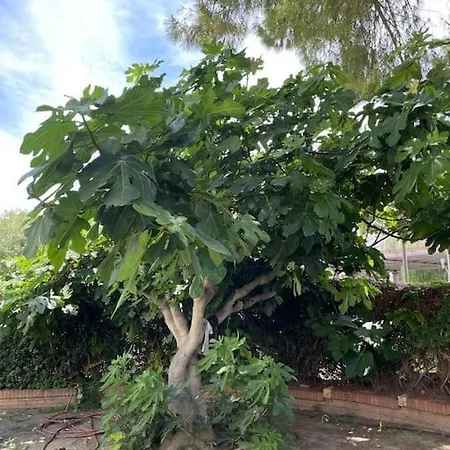 Casa Margherita Immersa Nel - Centro - * Cagliari